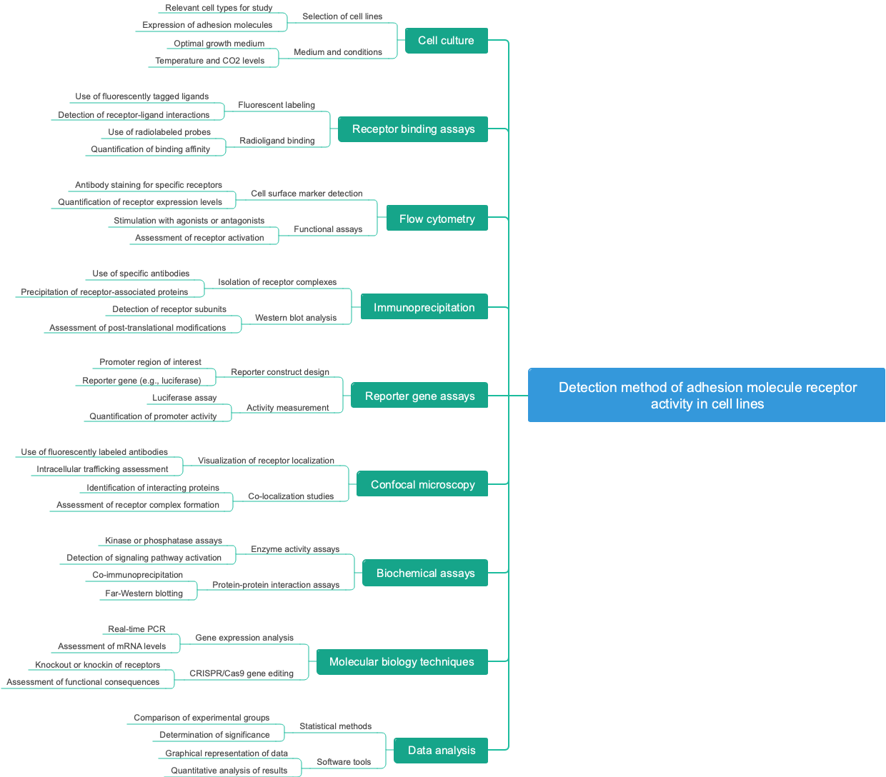 Detection method of adhesion molecule receptor activity in cell lines