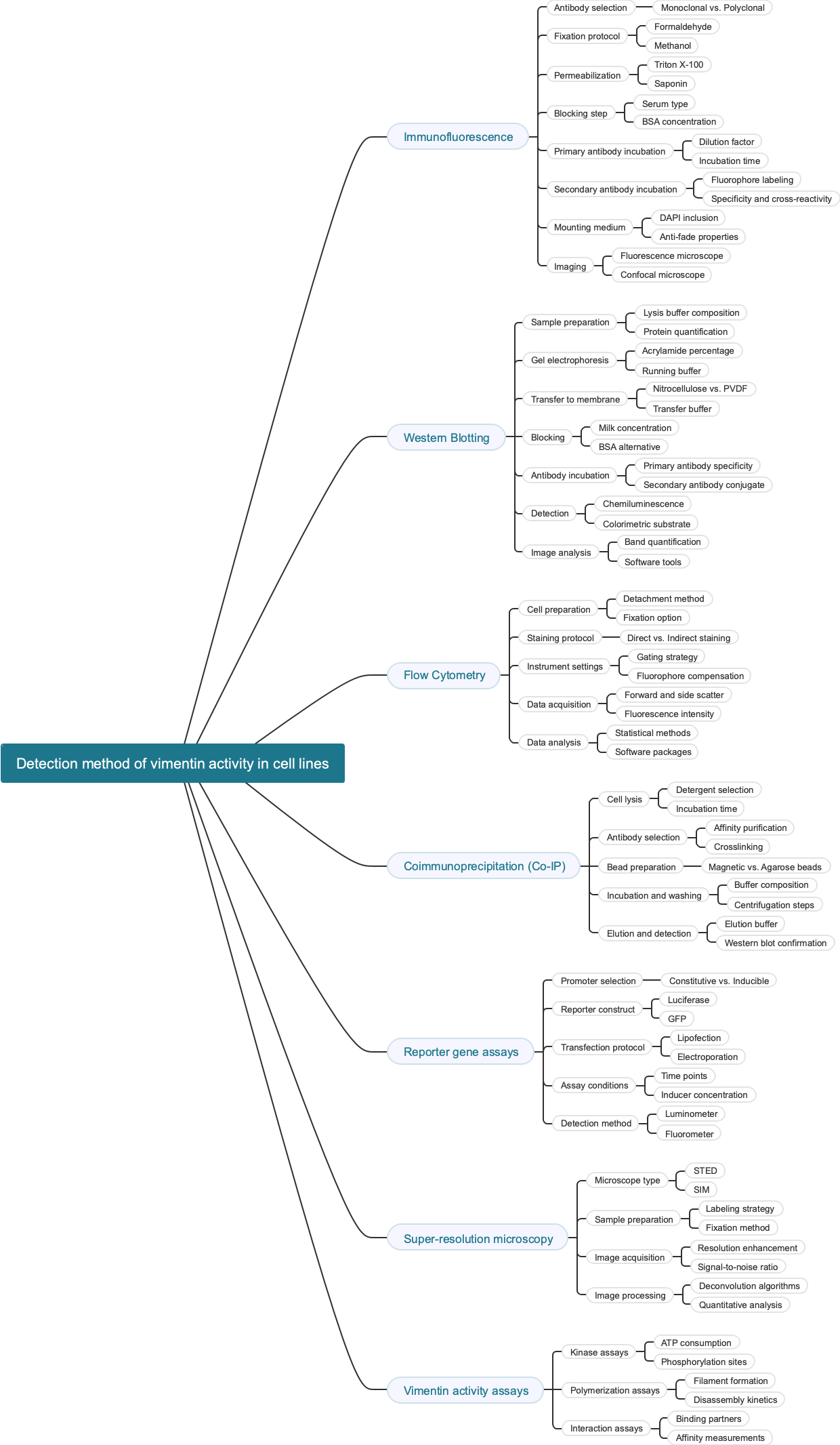 Detection method of vimentin activity in cell lines