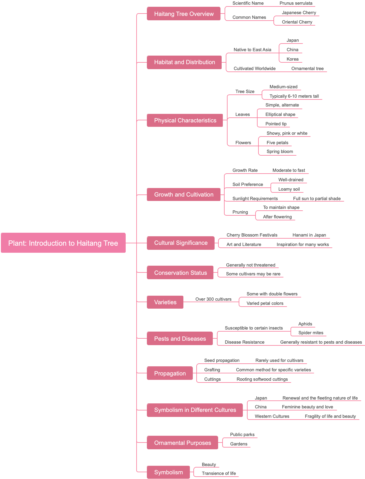 Plant: Introduction to Haitang Tree