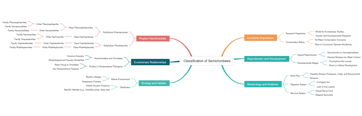 Classification of Semichordates