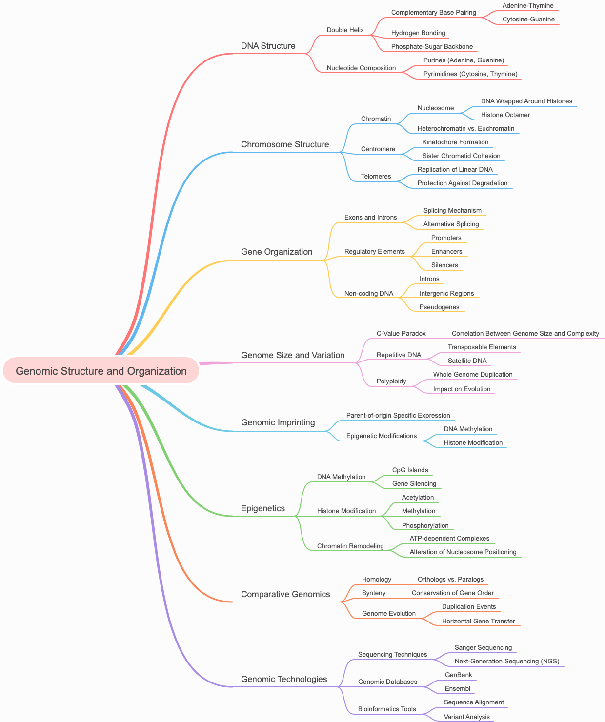 Genomic Structure and Organization