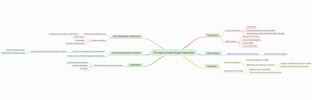 The basic process of gene expression