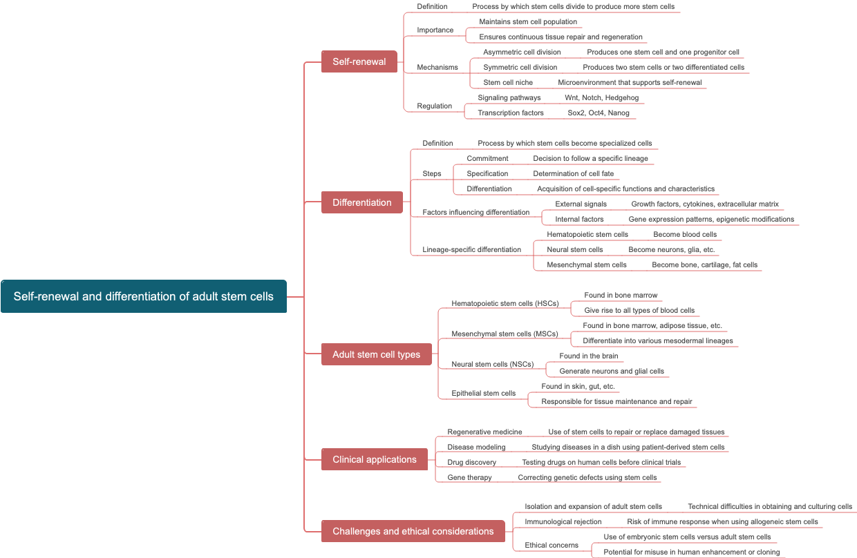Self-renewal and differentiation of adult stem cells