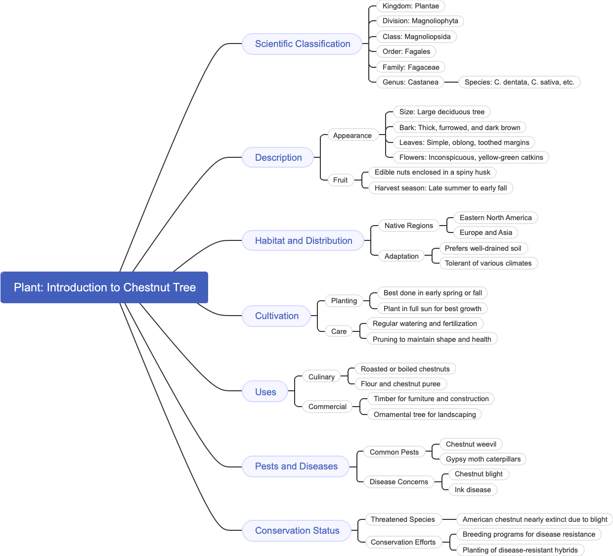 Plant Introduction to Chestnut Tree