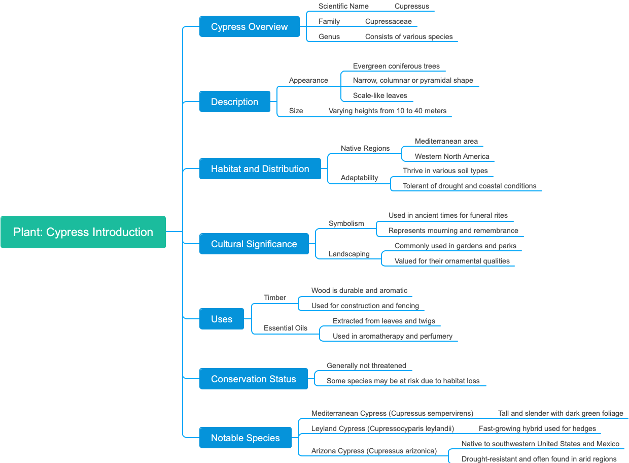 Plant Cypress Introduction