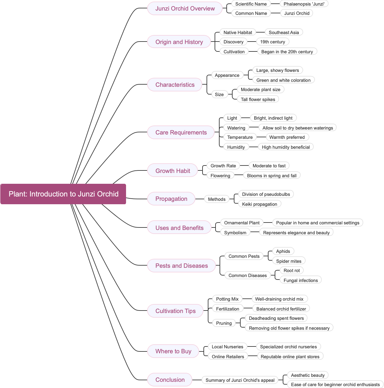 Plant Introduction to Junzi Orchid