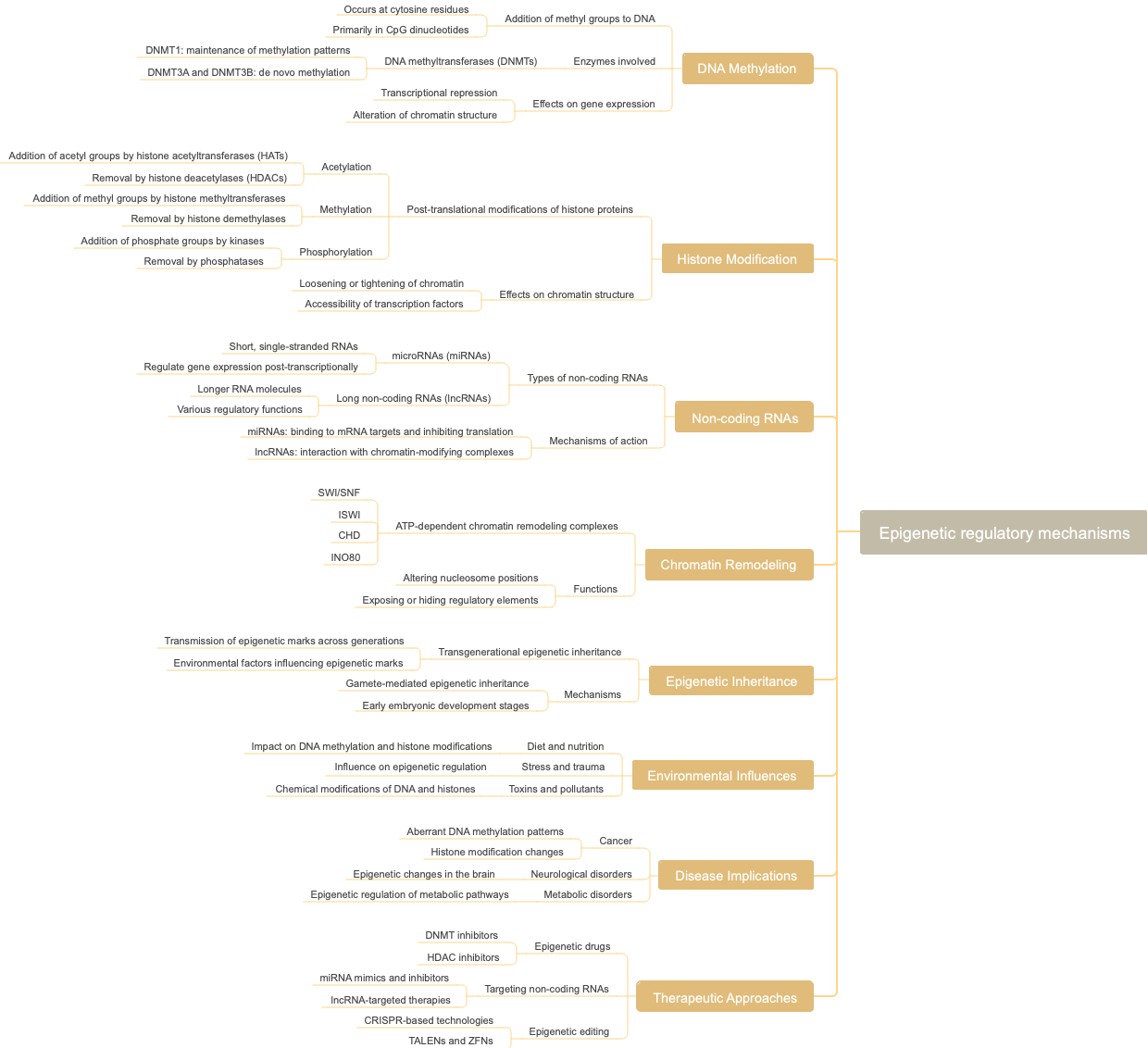 Epigenetic regulatory mechanisms