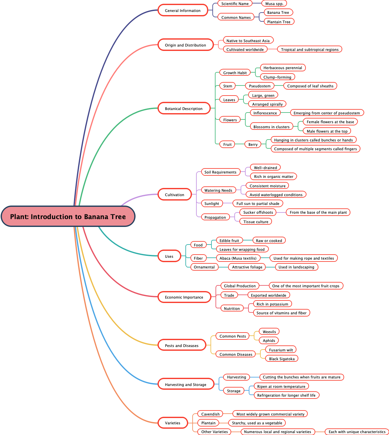 Plant Introduction to Banana Tree