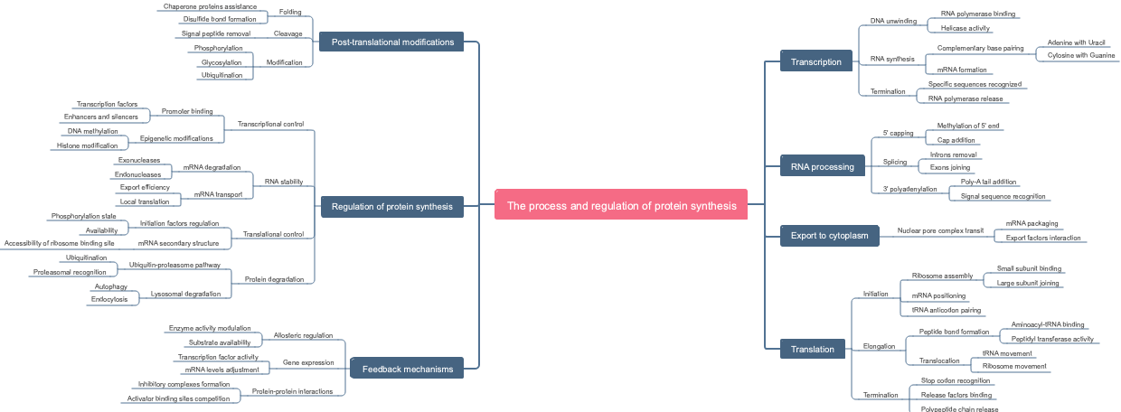 The process and regulation of protein synthesis