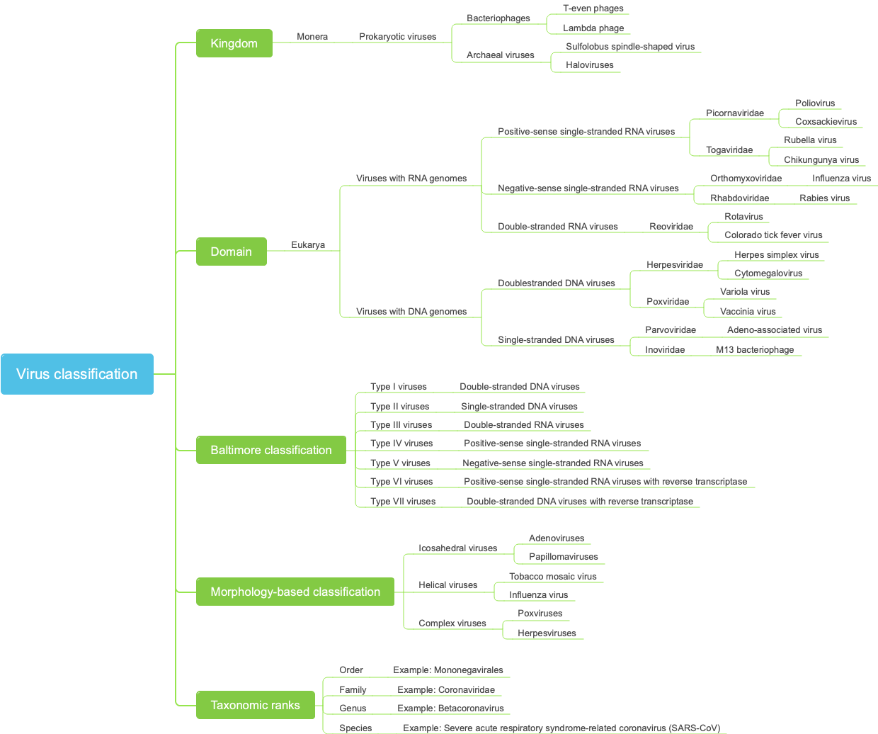 Virus classification