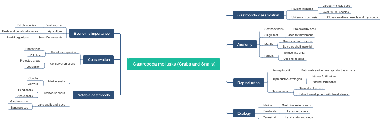Gastropoda mollusks (Crabs and Snails)