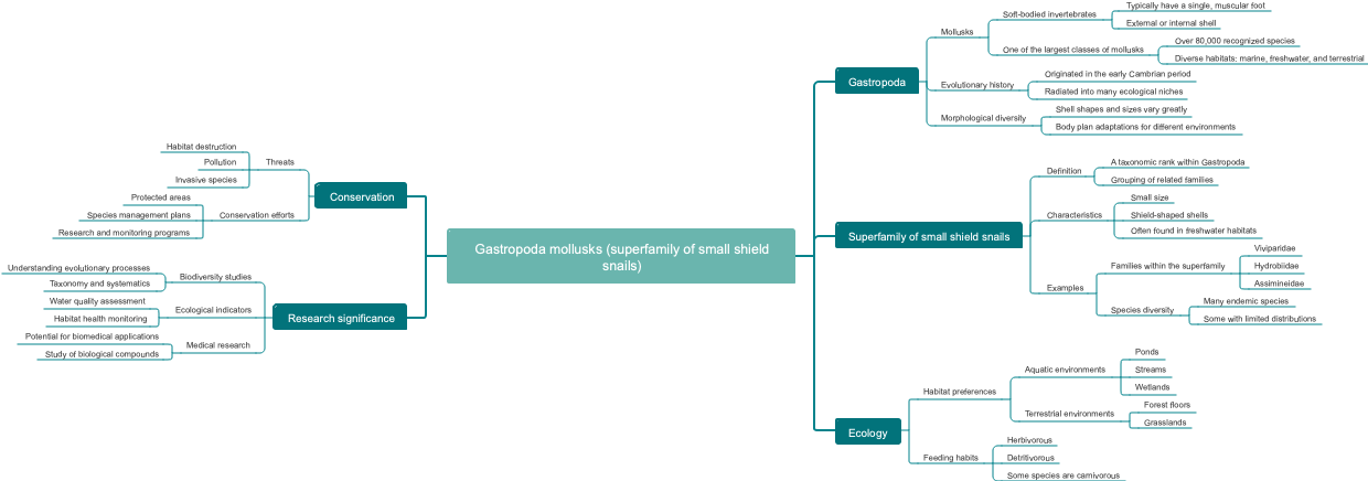 Gastropoda mollusks (superfamily of small shield snails)