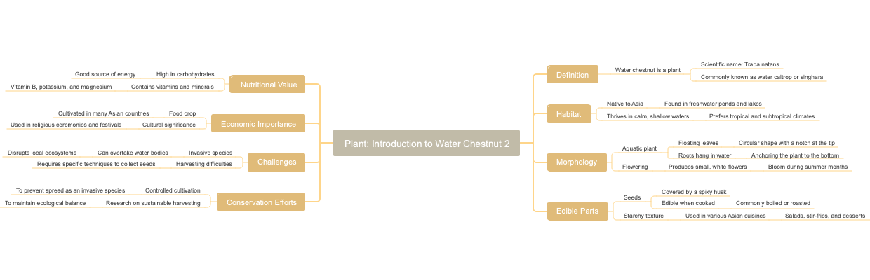 Plant Introduction to Water Chestnut 2