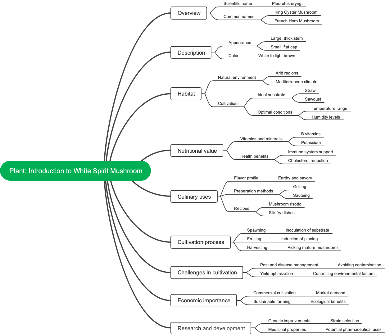 Plant Introduction to White Spirit Mushroom