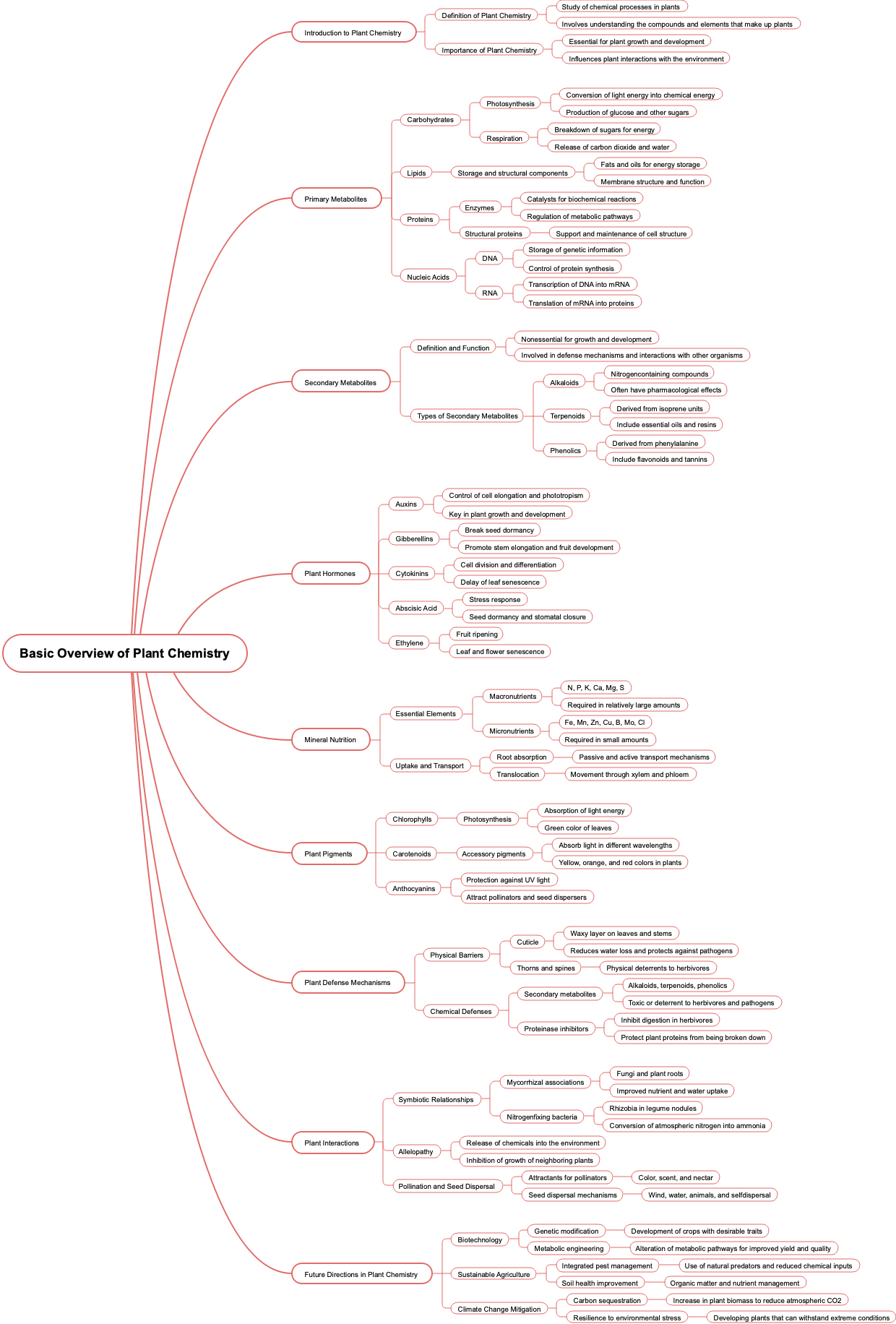 Basic Overview of Plant Chemistry