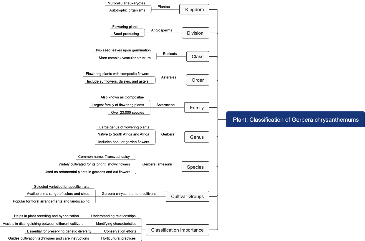 Plant: Classification of Gerbera chrysanthemums