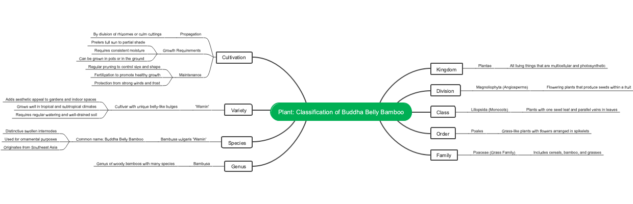 Plant: Classification of Buddha Belly Bamboo