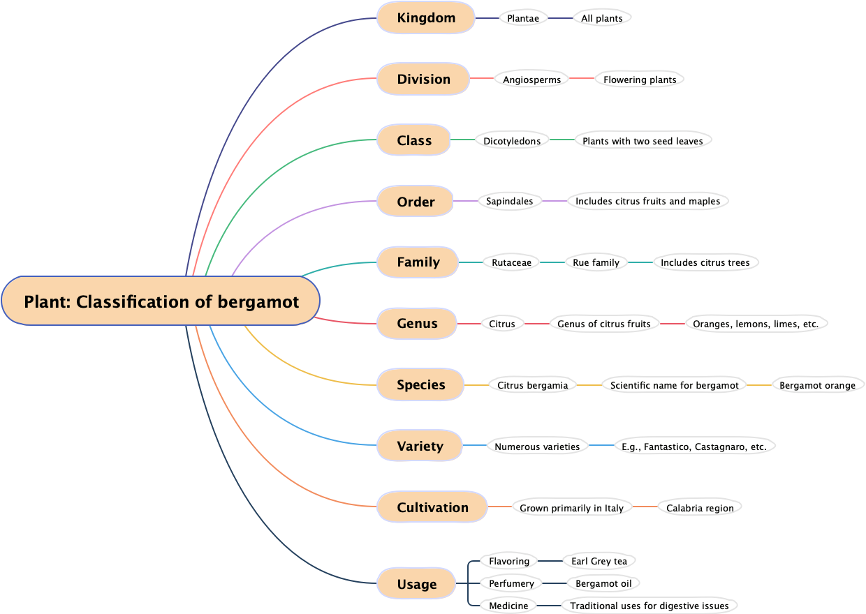 Plant: Classification of bergamot