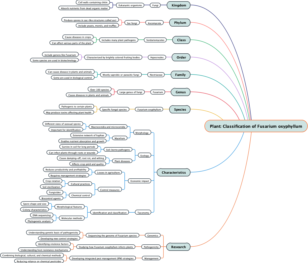 Plant: Classification of Fusarium oxyphyllum