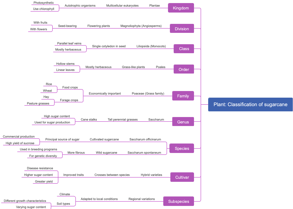 Plant: Classification of sugarcane