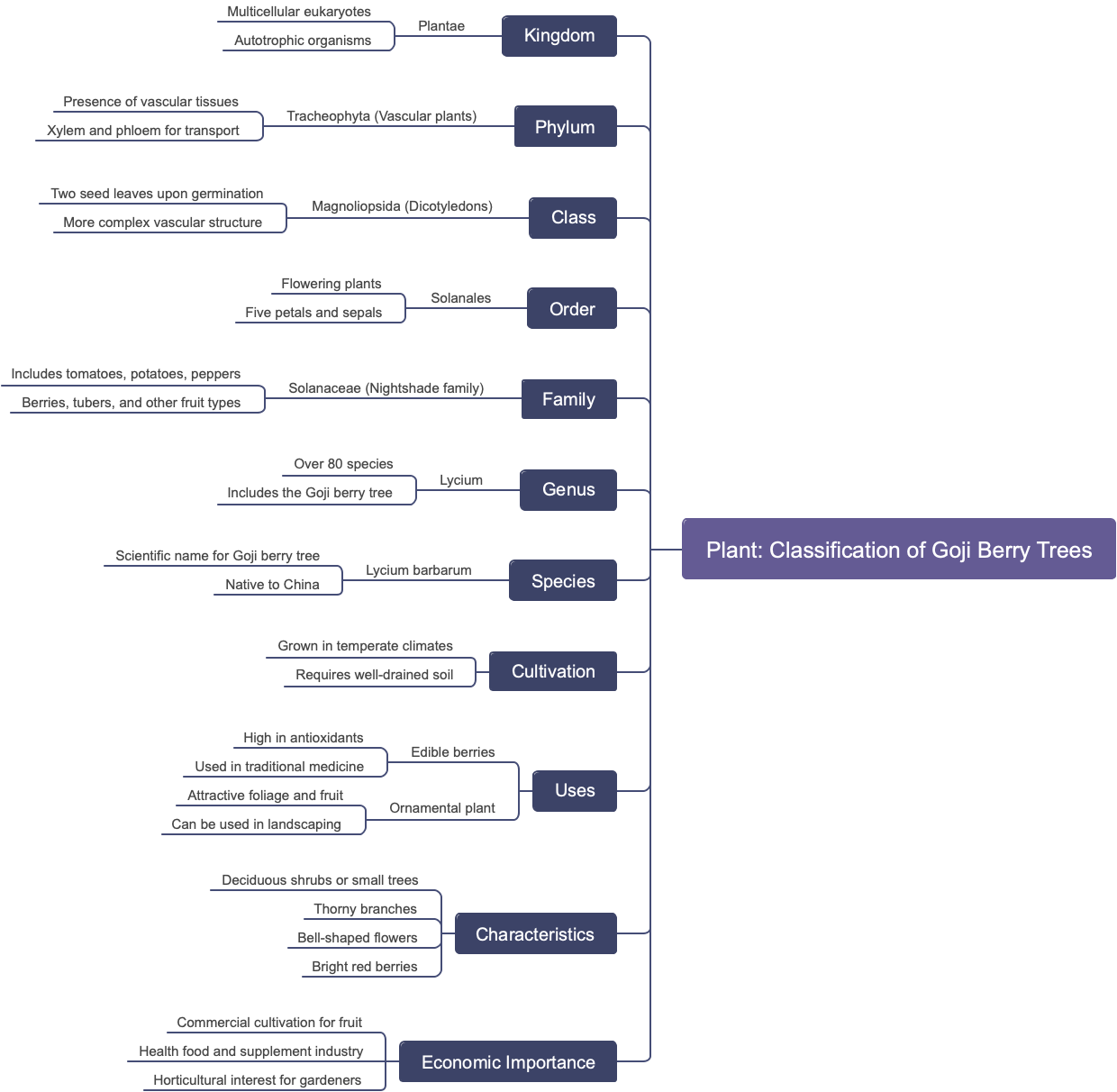 Plant: Classification of Goji Berry Trees