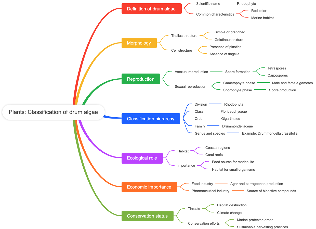 Plants: Classification of drum algae