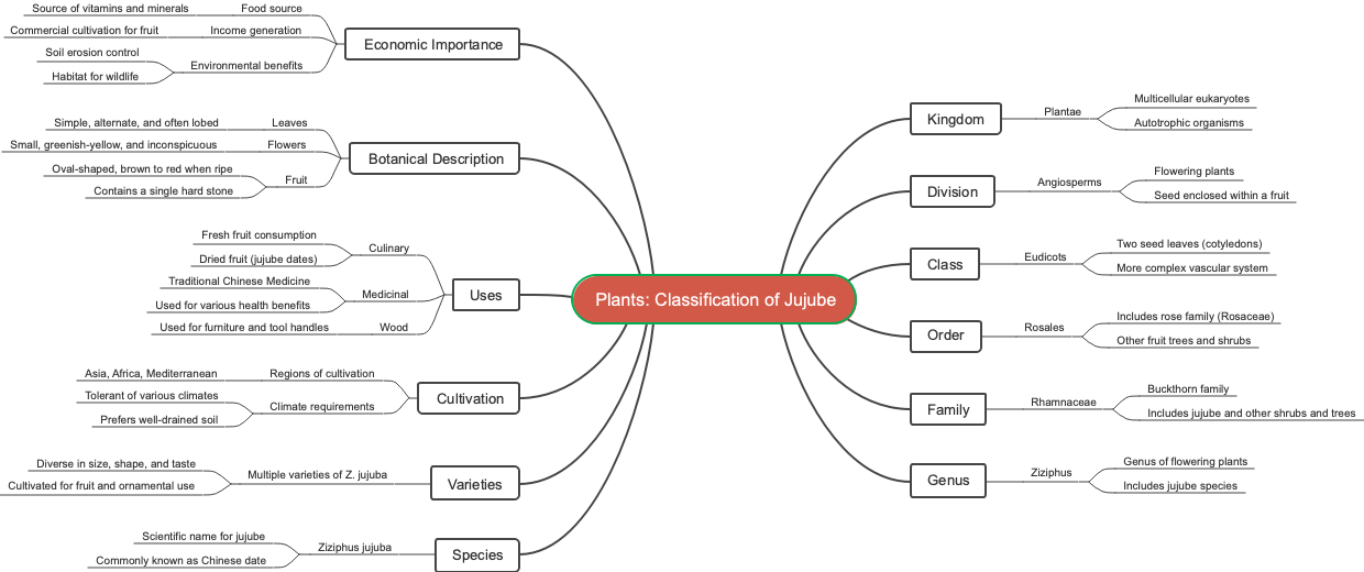 Plants: Classification of Jujube