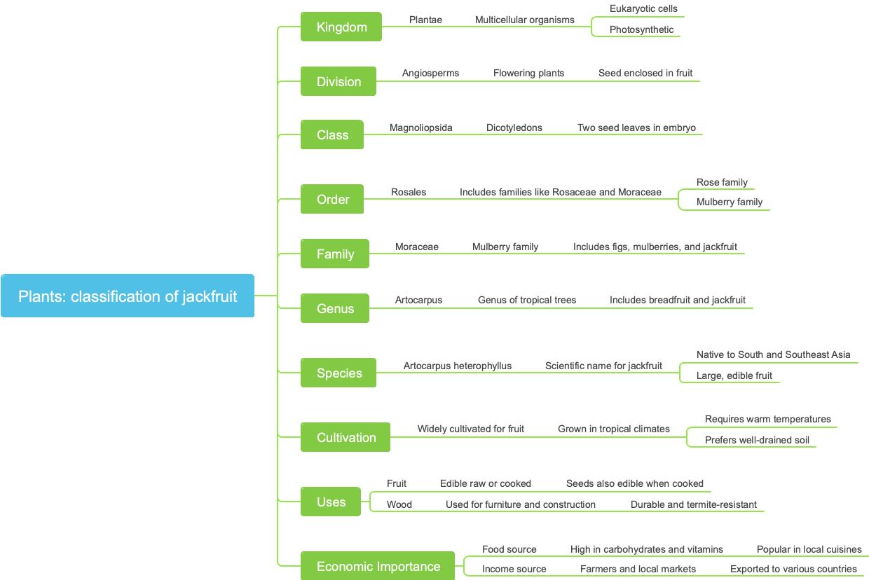 Plants: classification of jackfruit