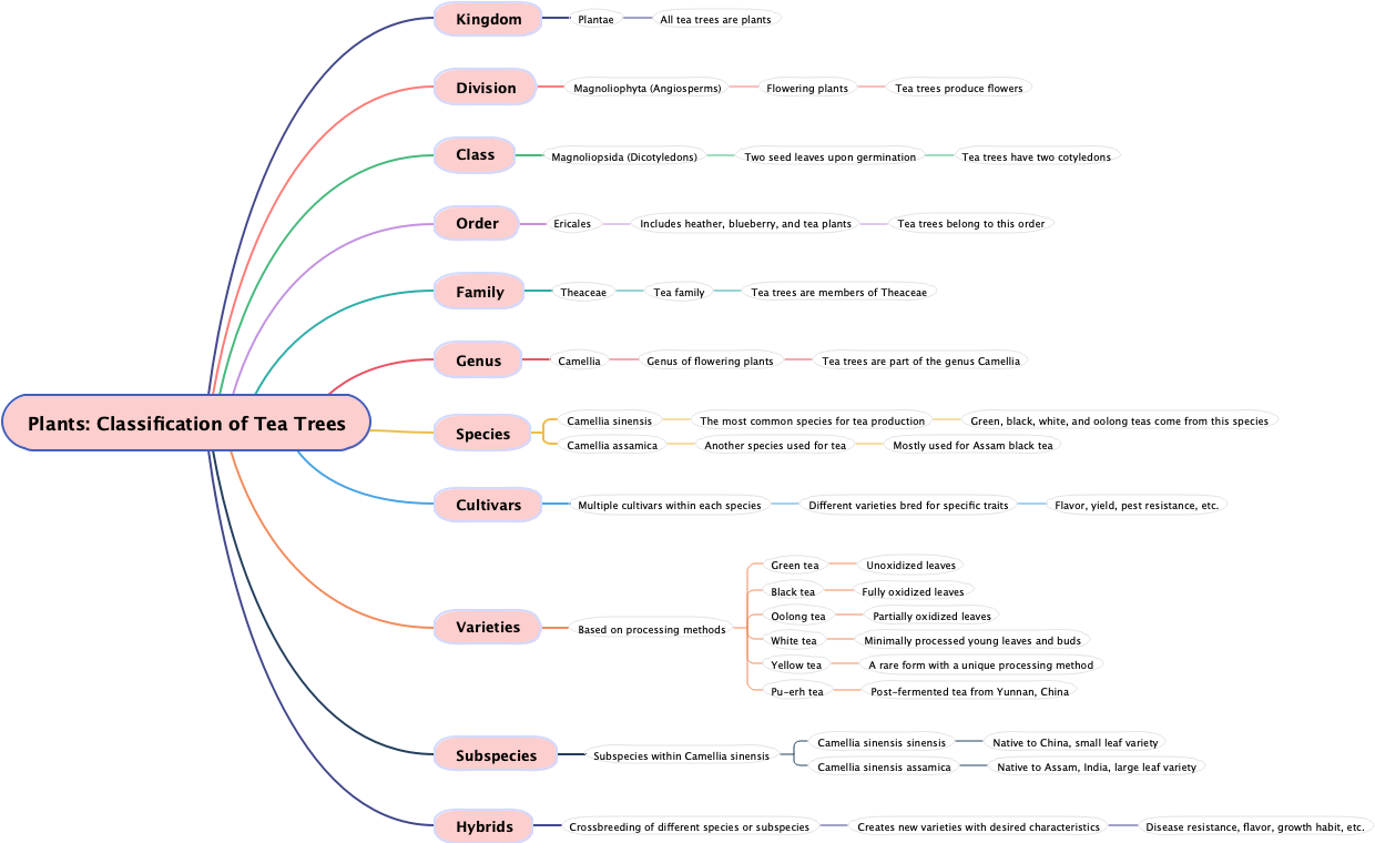 Plants: Classification of Tea Trees