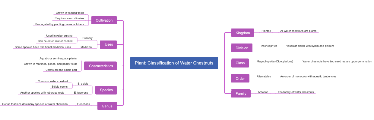 Plant: Classification of Water Chestnuts