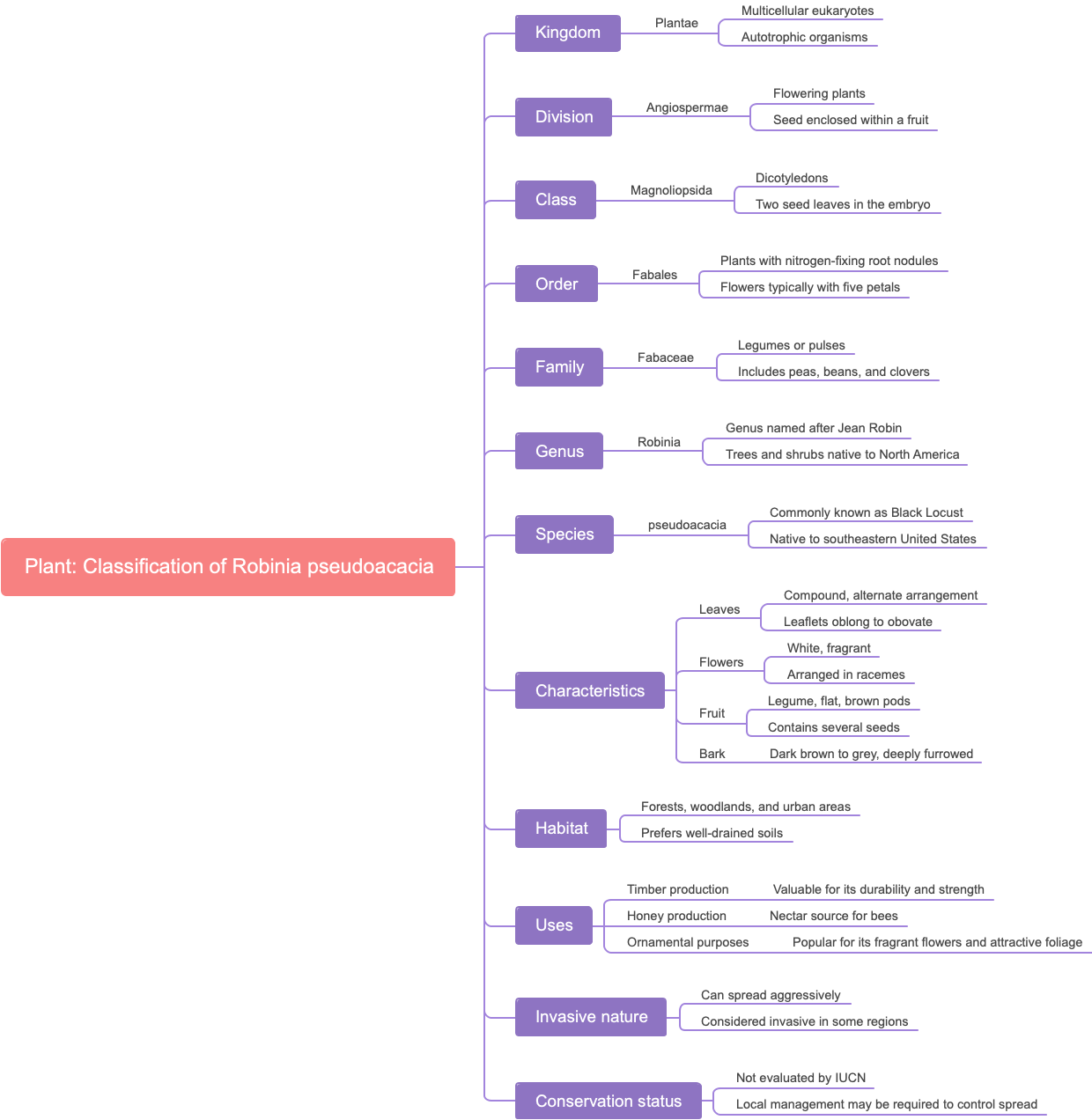 Plant: Classification of Robinia pseudoacacia