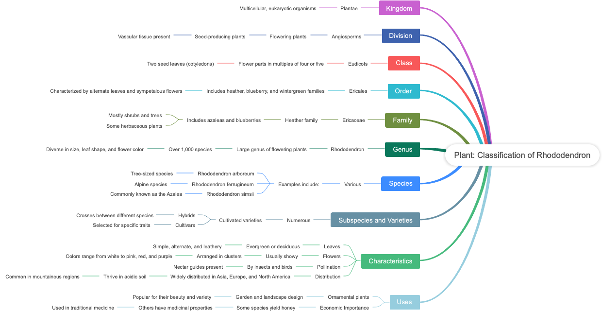 Plant: Classification of Rhododendrons