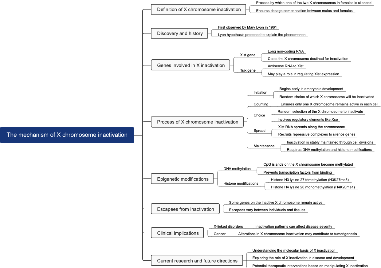 The mechanism of X chromosome inactivation