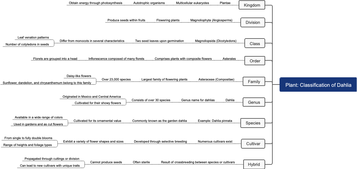 Plant: Classification of Dahlia