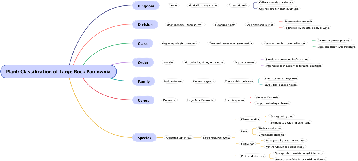 Plant: Classification of Large Rock Paulownia