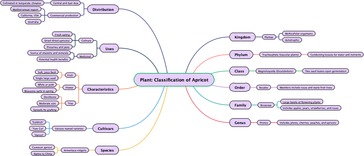 Plant: Classification of Apricot