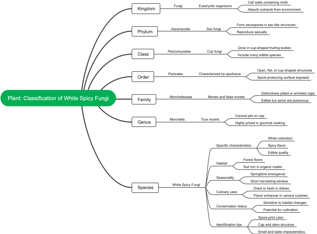 Plant: Classification of White Spicy Fungi