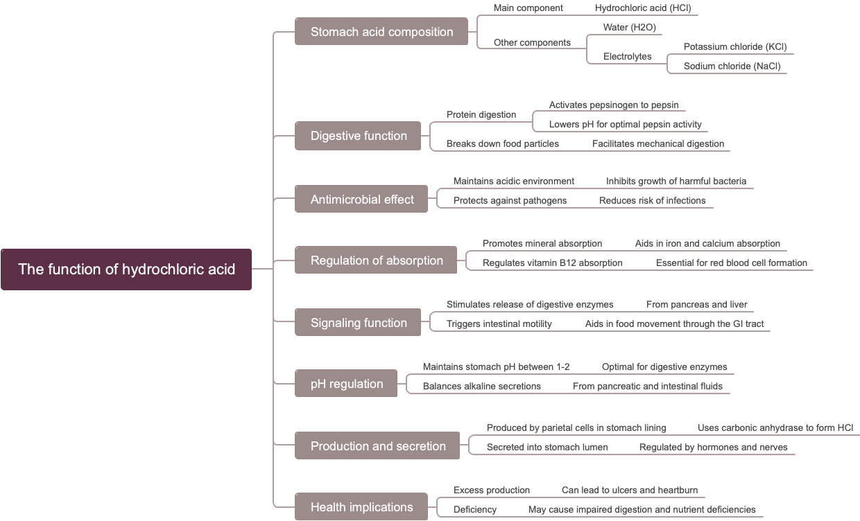 The function of hydrochloric acid