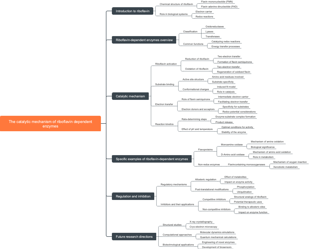 The catalytic mechanism of riboflavin dependent enzymes