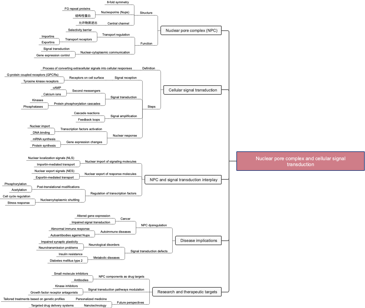 Nuclear pore complex and cellular signal transduction