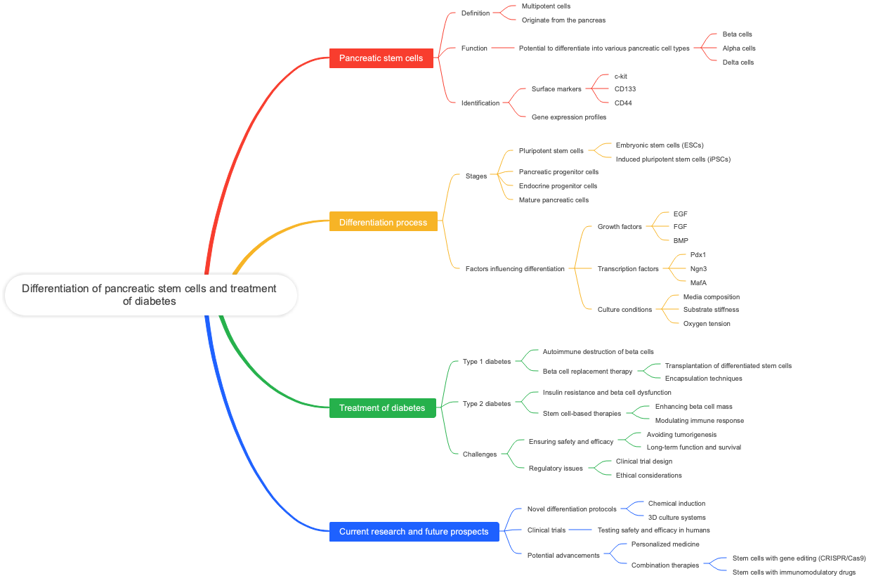 Differentiation of pancreatic stem cells and treatment of diabetes