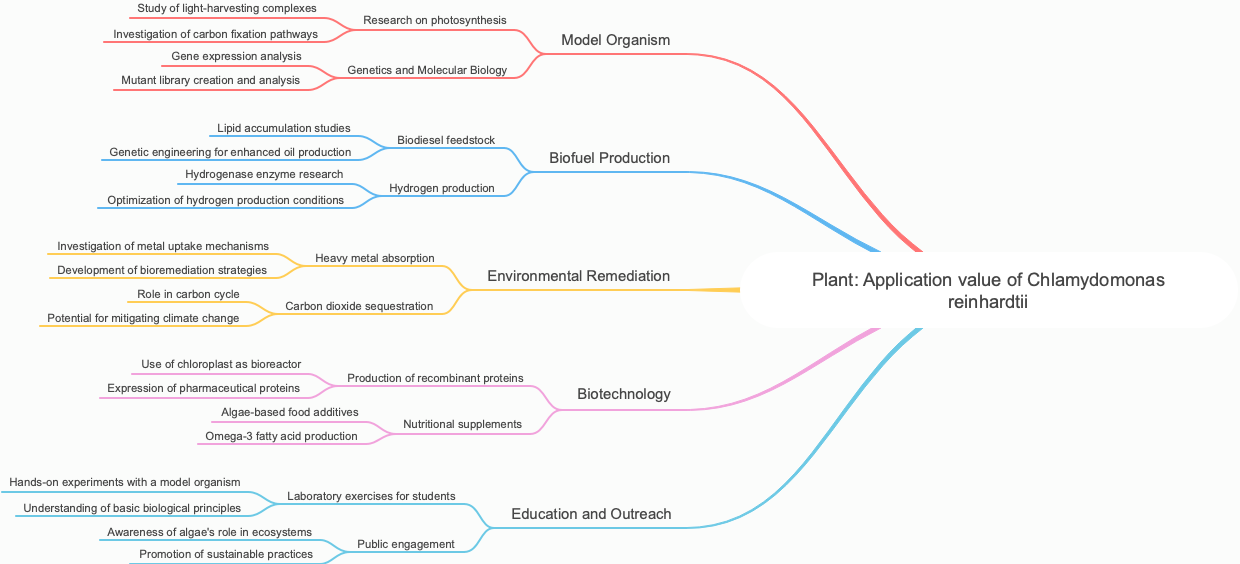 Plant: Application value of Chlamydomonas reinhardtii