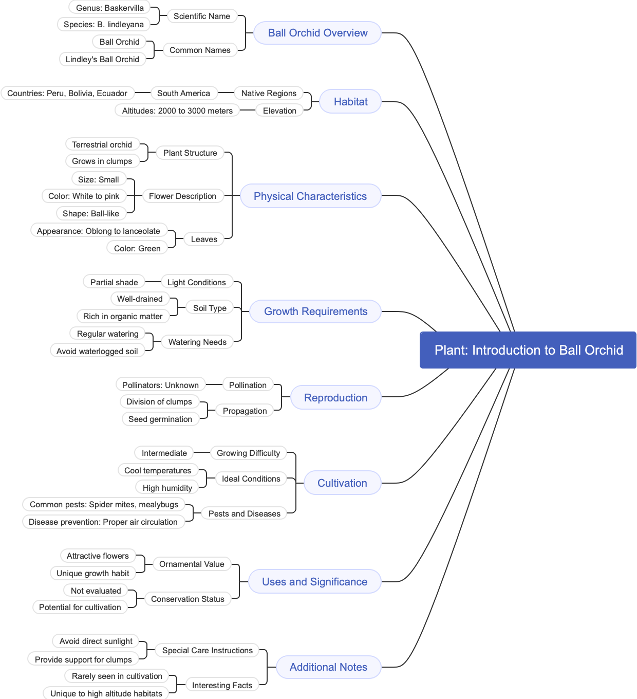 Plant: Introduction to Ball Orchid