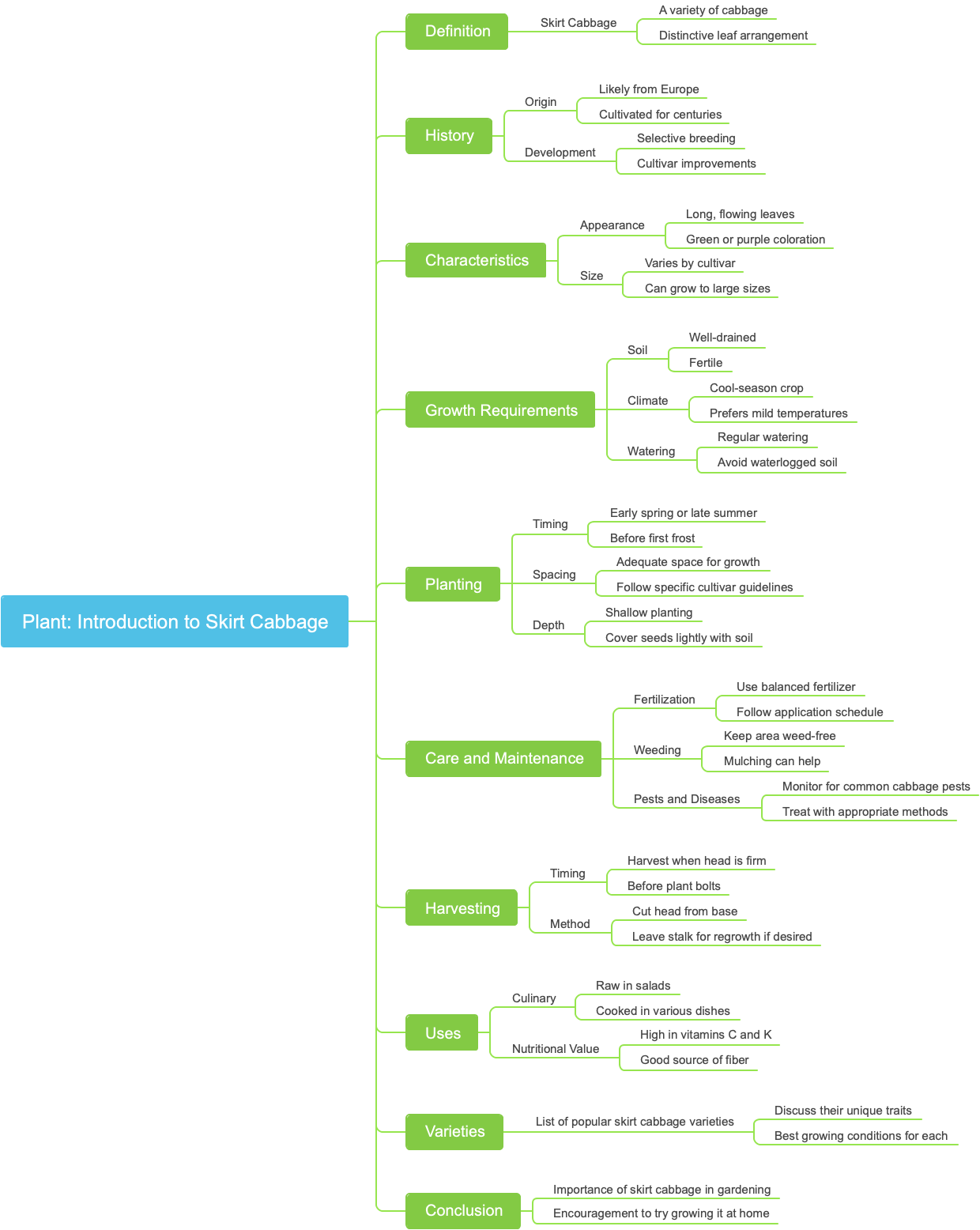 Plant: Introduction to Skirt Cabbage