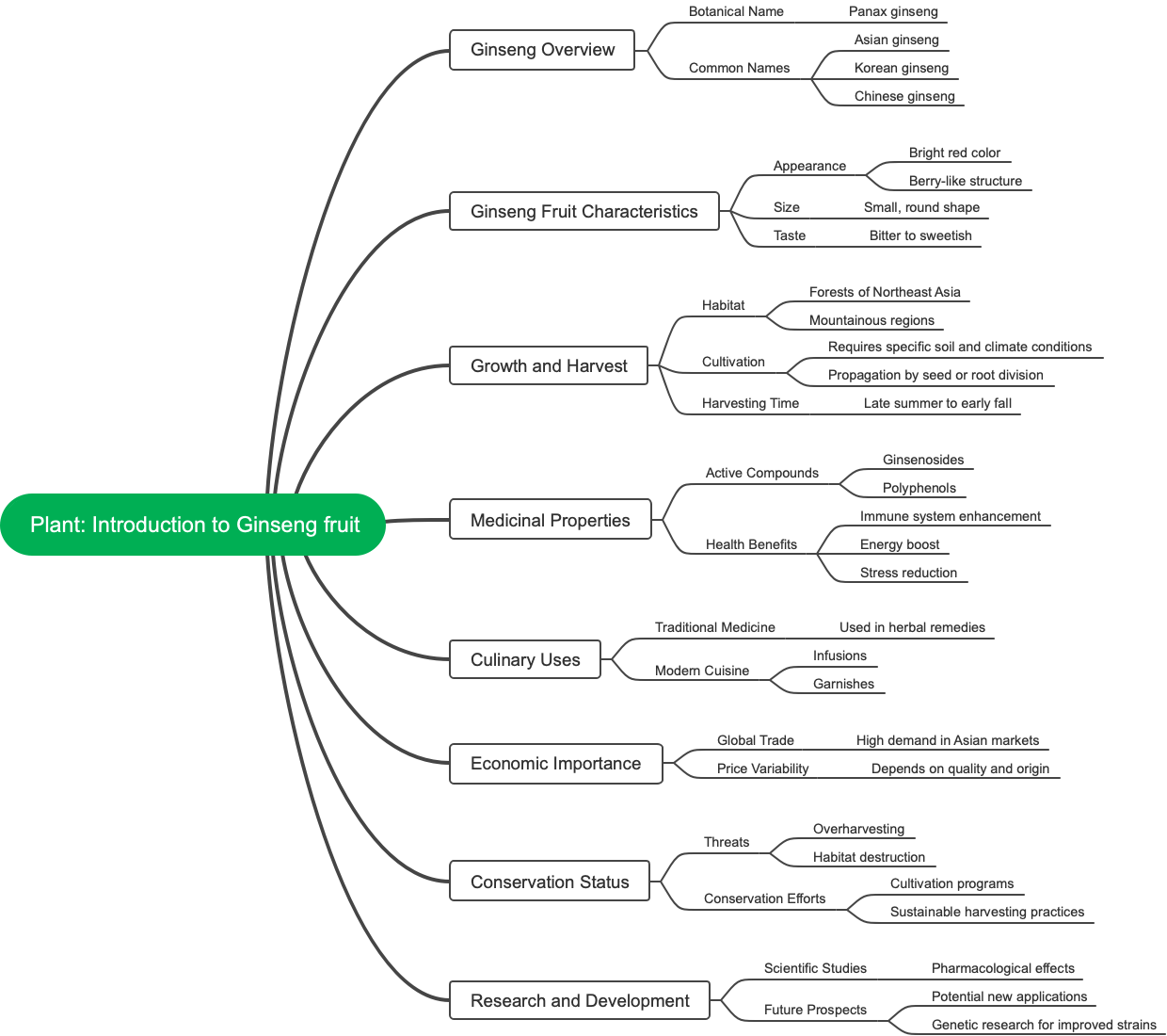 Plant: Introduction to Ginseng fruit