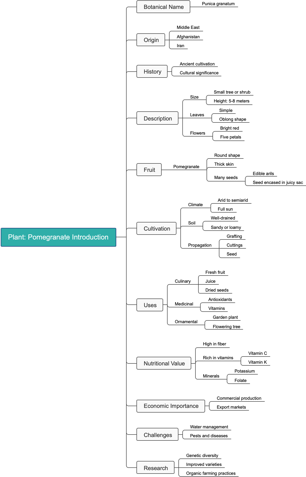 Plant: Pomegranate Introduction