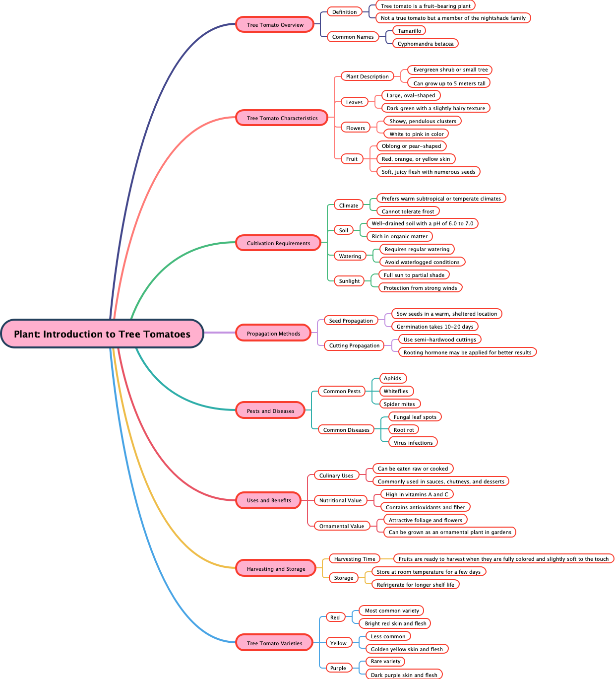 Plant: Introduction to Tree Tomatoes