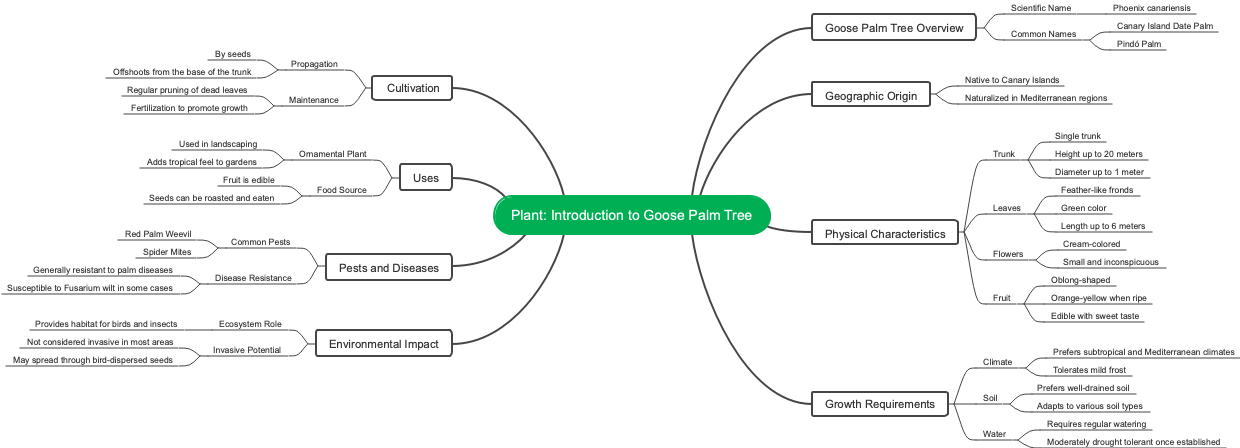 Plant: Introduction to Goose Palm Tree