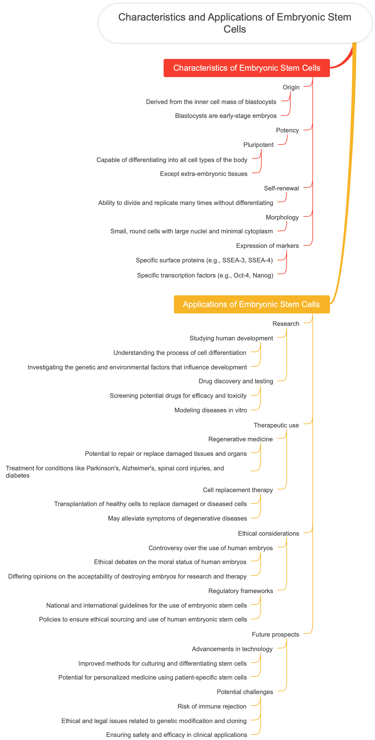 Characteristics and Applications of Embryonic Stem Cells