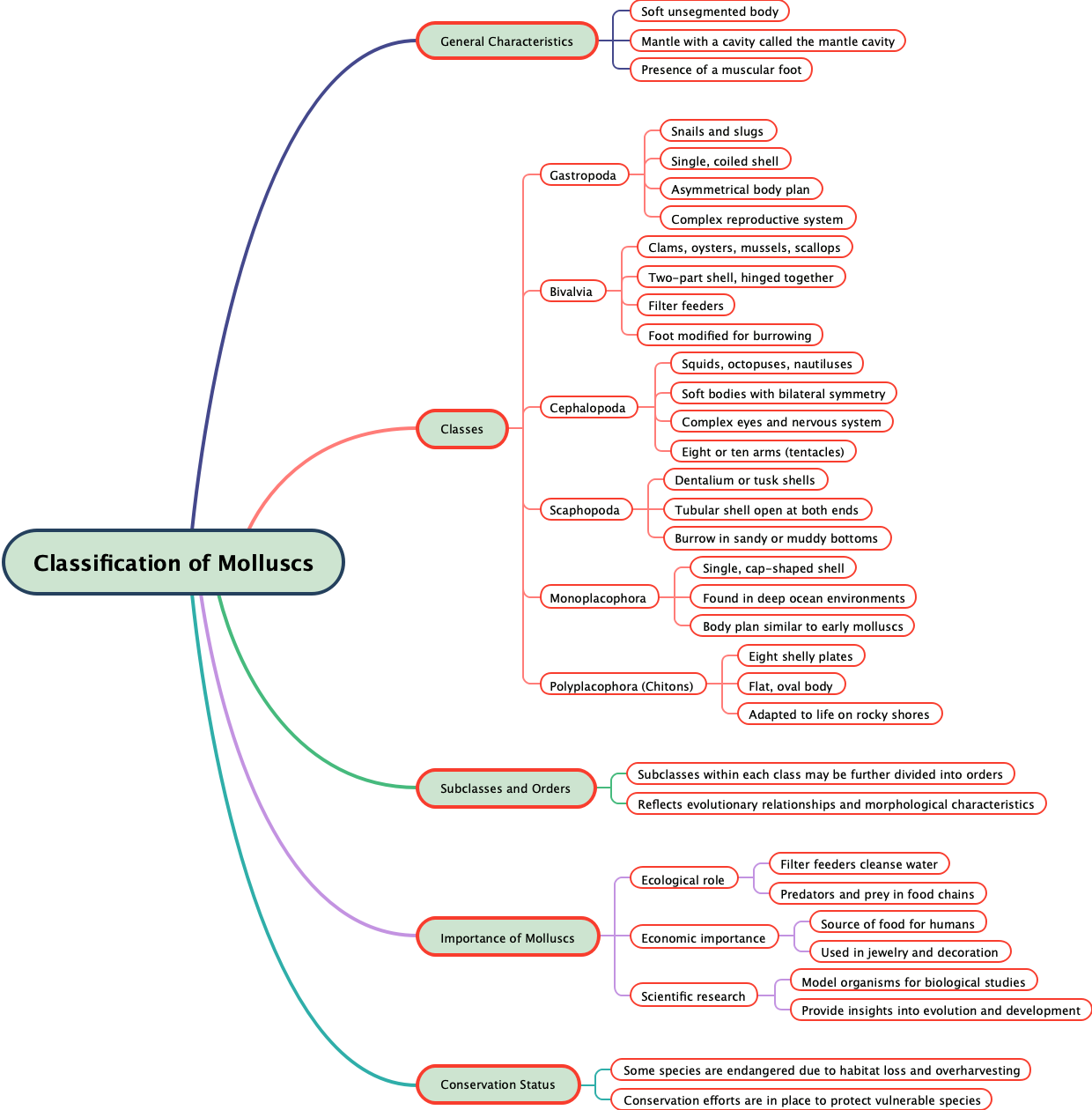 Classification of Molluscs